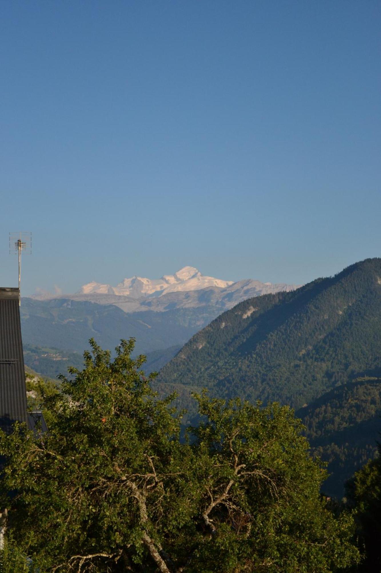 La Belle Des Praz Villa Mieussy Bilik gambar